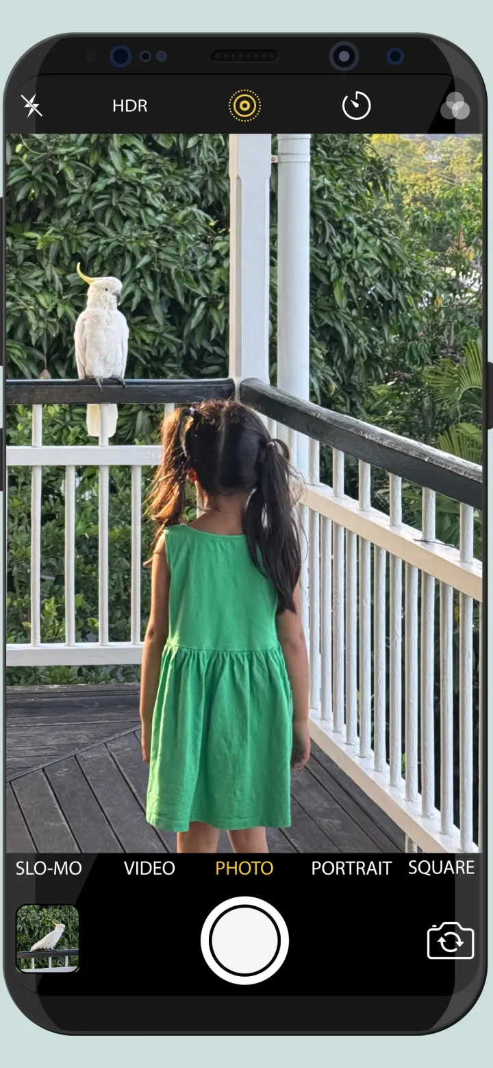 Taking a photo of a white cockatoo on a porch railing, with a child watching it
